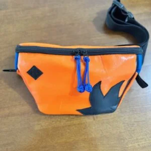 DBZ Fanny pack